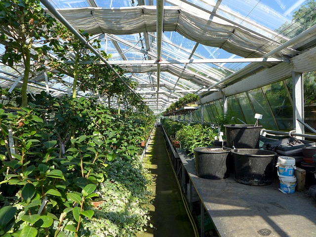 Gallery image 5