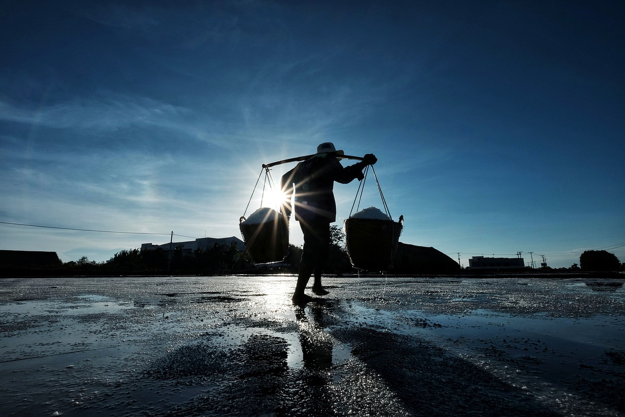 man, worker, buckets, salt, sunset, countryside, job, silhouette