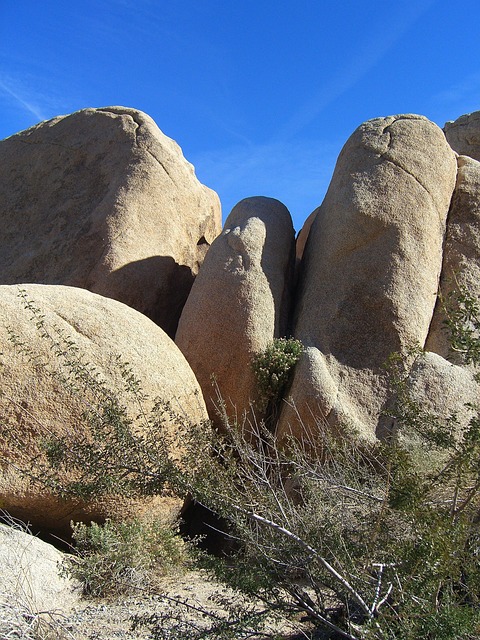 Gallery image 6