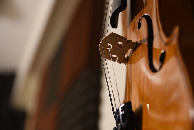 Image for Discovering the history of Lisbon's music at the Fado Museum.