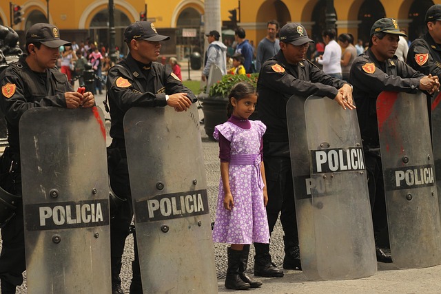 Image for Police and Civilian Interactions: Carrying Firearms Legally