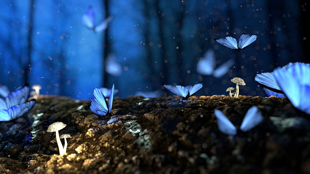 fantasy, butterflies, mushrooms, forest, insects, toadstools, wood, magical, fairytale, dream, nature, bokeh, nature wallpaper, zoom background