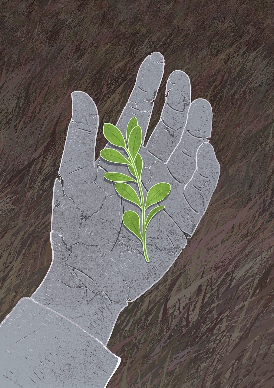 illumination, imagination, creativity, drawing, painting, blackandwhite, fair talk, fantasy, cover, hand, dry crack, green, leaves, hope, life, brown painting, brown talk, brown talking, brown paint, brown creative, brown leaves, brown drawing