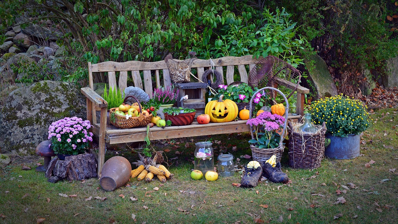 harvest, harvest festival, thanksgiving, decoration, autumn decoration, autumnal, nature, deco