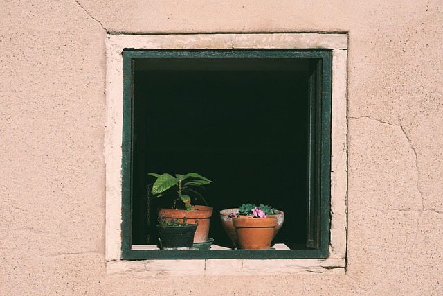 Image for From Insight to Action: Transforming Survey Results into Tangible Improvements.
