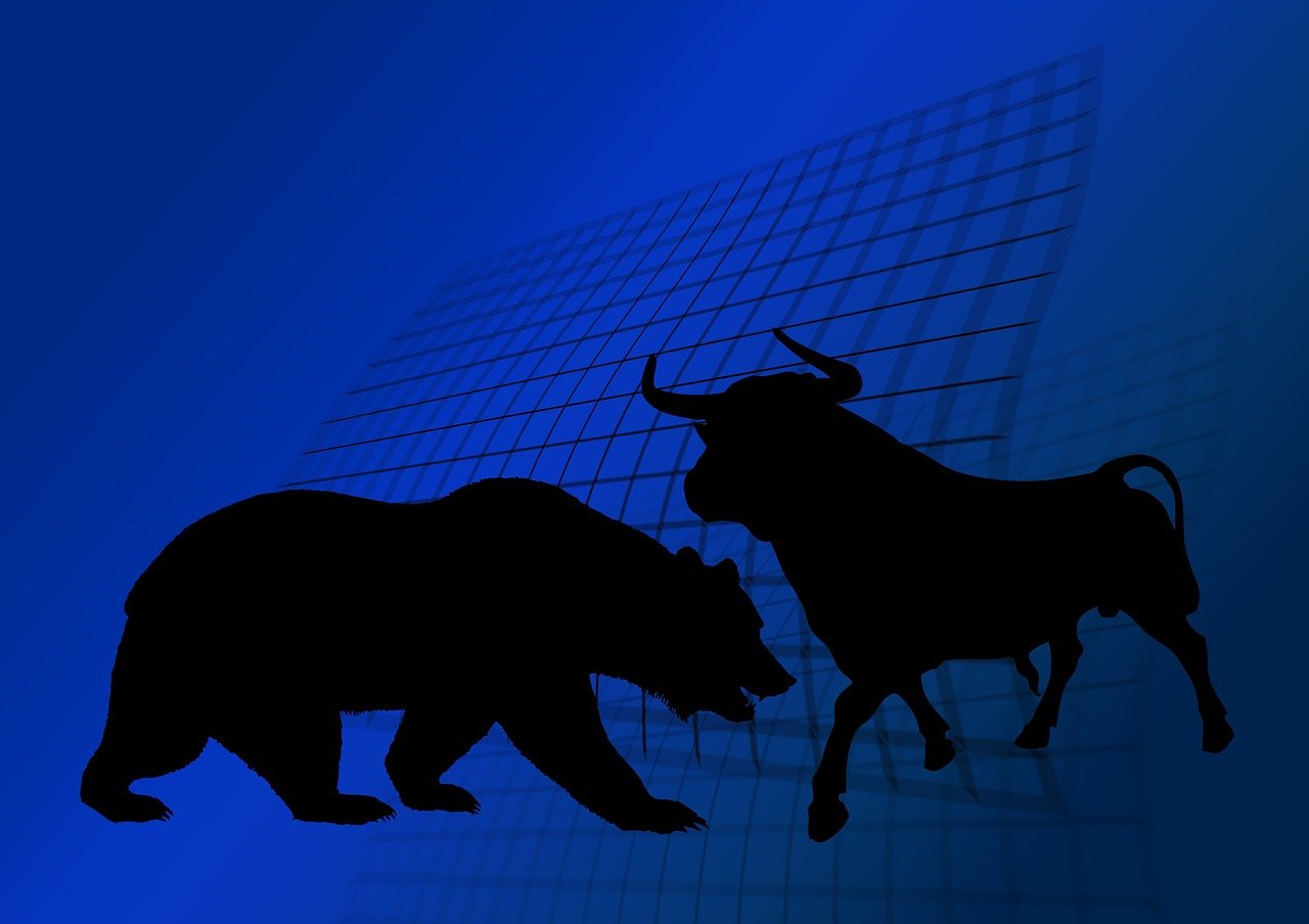 stock exchange, bull, bear, finance, money, speculate, baisse, bull market, business, business dealings, economic crisis, loss, win, economy, credit, currency, trade, euro, dollar, parquet