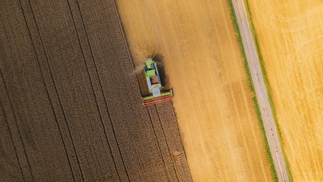 combine harvester, harvest, farm, combine, barley, crop, field, agriculture, rural, landscape, agricultural machinery, combine harvester, combine harvester, combine harvester, agricultural machinery, agricultural machinery, agricultural machinery, agricultural machinery, agricultural machinery