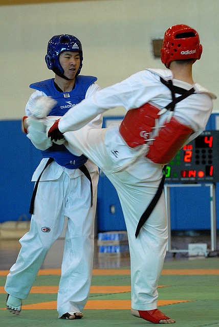 Gallery image 6