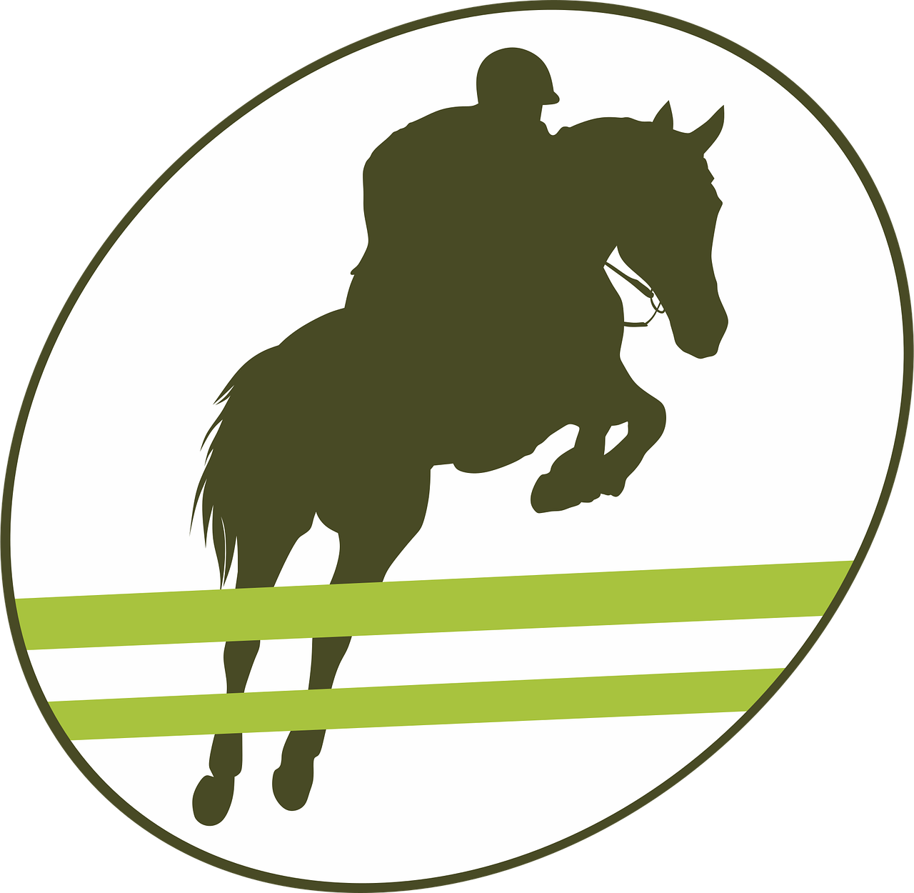 jump, obstacle, equestrian, horse, equine, rider, horse riding