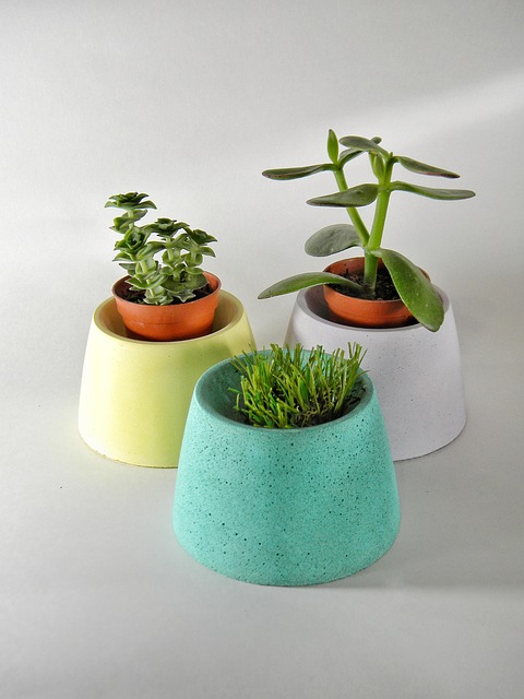 Gallery image 1