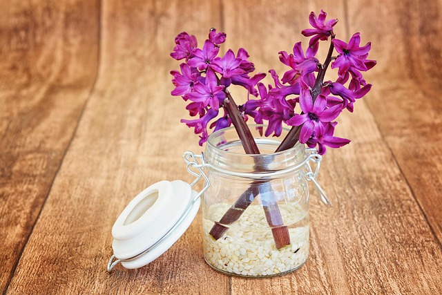 hyacinth, flower, flower wallpaper, beautiful flowers, blossoms, pink, nature, fragrant, flower background, scented flower, spring flower, decorative glass, vase