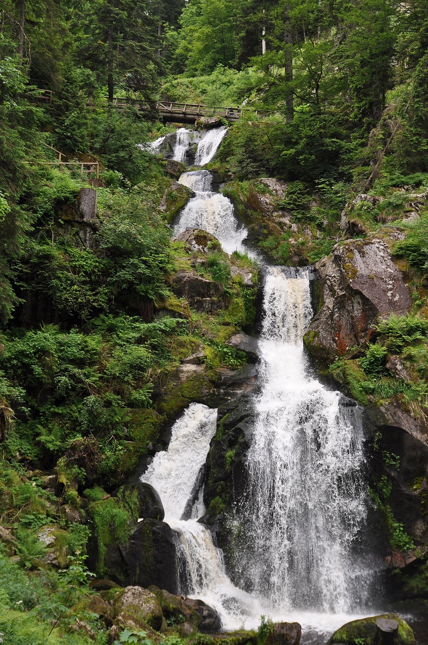 waterfall, water, triberg, black forest