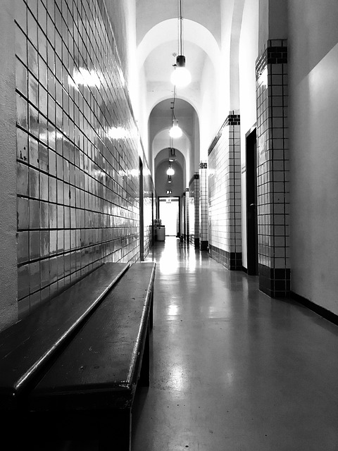 Gallery image 6