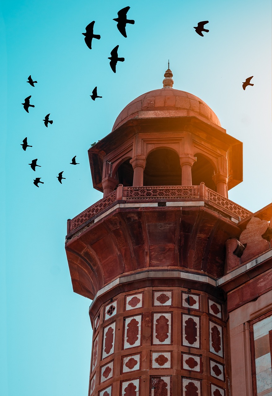 building, mosque, temple, tower, birds, flock, islam, allah