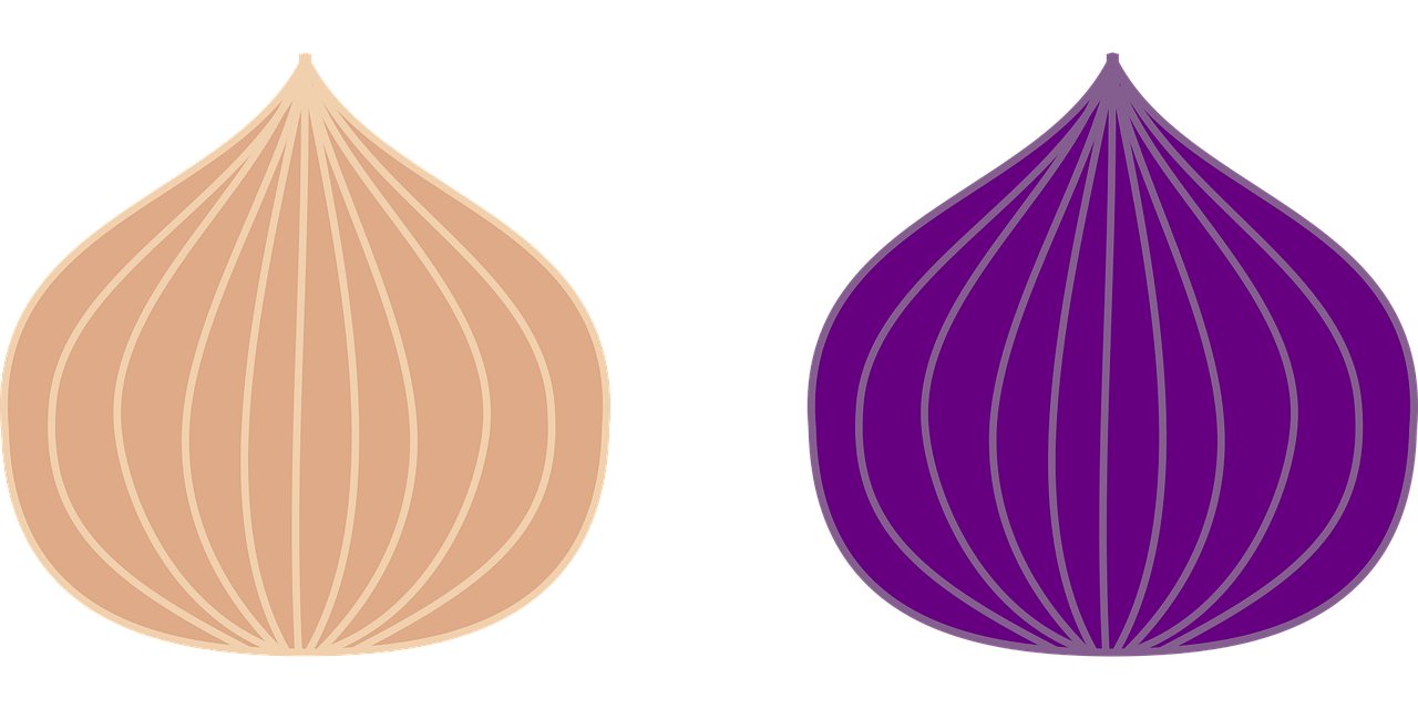 onion, icon, vegetables, food, healthy, power, salad, illustration