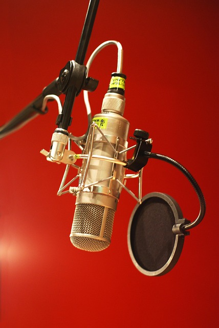 Gallery image 6