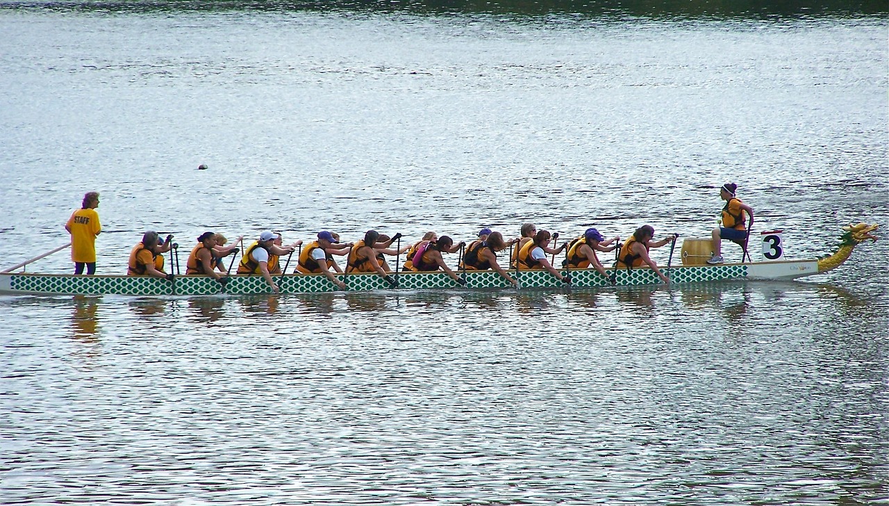 row, boat, rowing boat, row boat, team, rowing, sport, recreation, competition, teamwork, blue team, blue sports, blue boat, blue teamwork