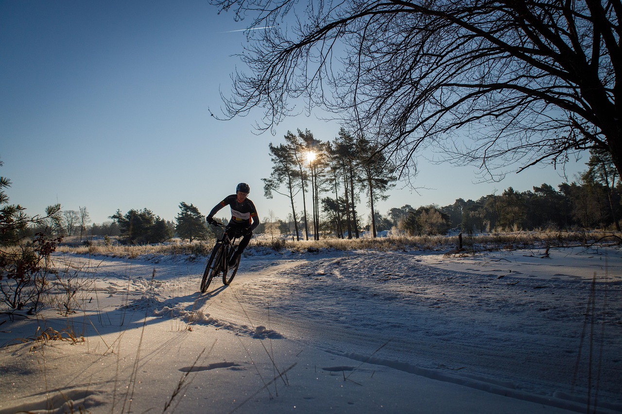 mtb, mountainbike, snow, winter, sport, cycling, meadow, action