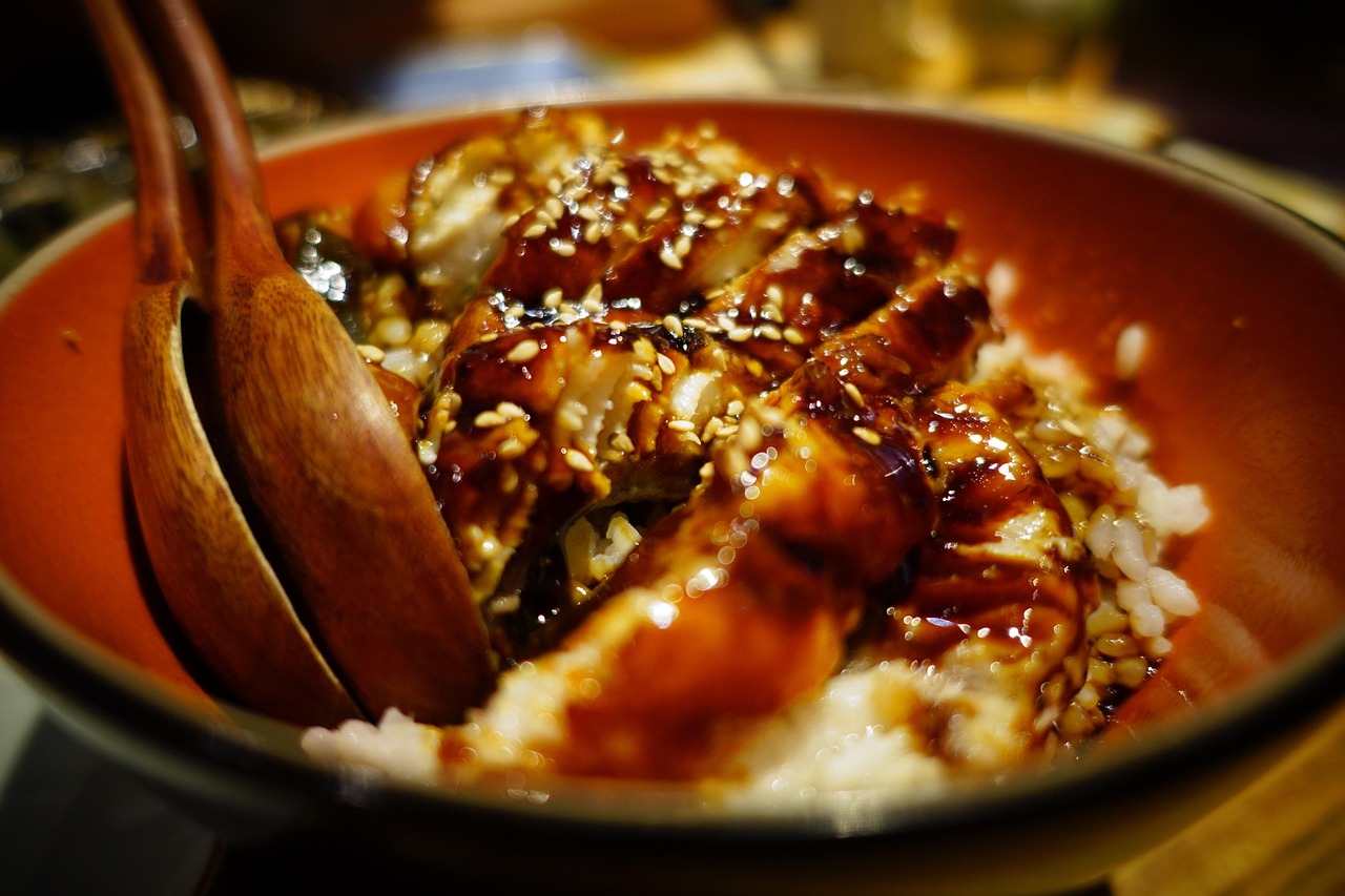 sushi, japan, japanese cuisine, gourmet, restaurant, eel rice