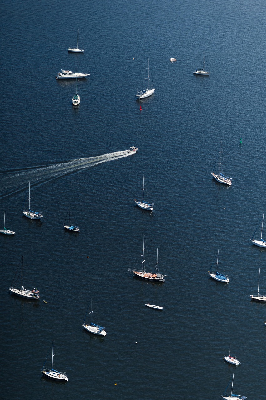 background, baía de guanabara, bay, bay area, beach, blue, boat, boat in ocean, boat on lake, brasil, brazil, calm, coast, harbor, landscape, marine, marine life, mureta da urca, ocean, pier, port, rio de janeiro, sail, sailboat, sailing boat, phone wallpaper, aesthetic wallpaper