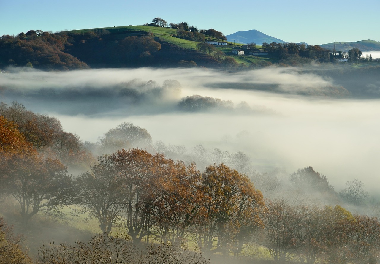 mountains, hills, fog, mist, pasture, slope, forest, trees, haze, smoke, countryside, rural, landscape, view, french countryside, clouds, nature
