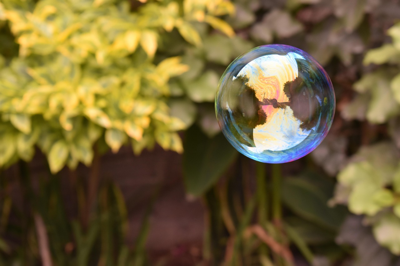 burbuja, naturaleza, bubble, water, nature, magic, bubbles