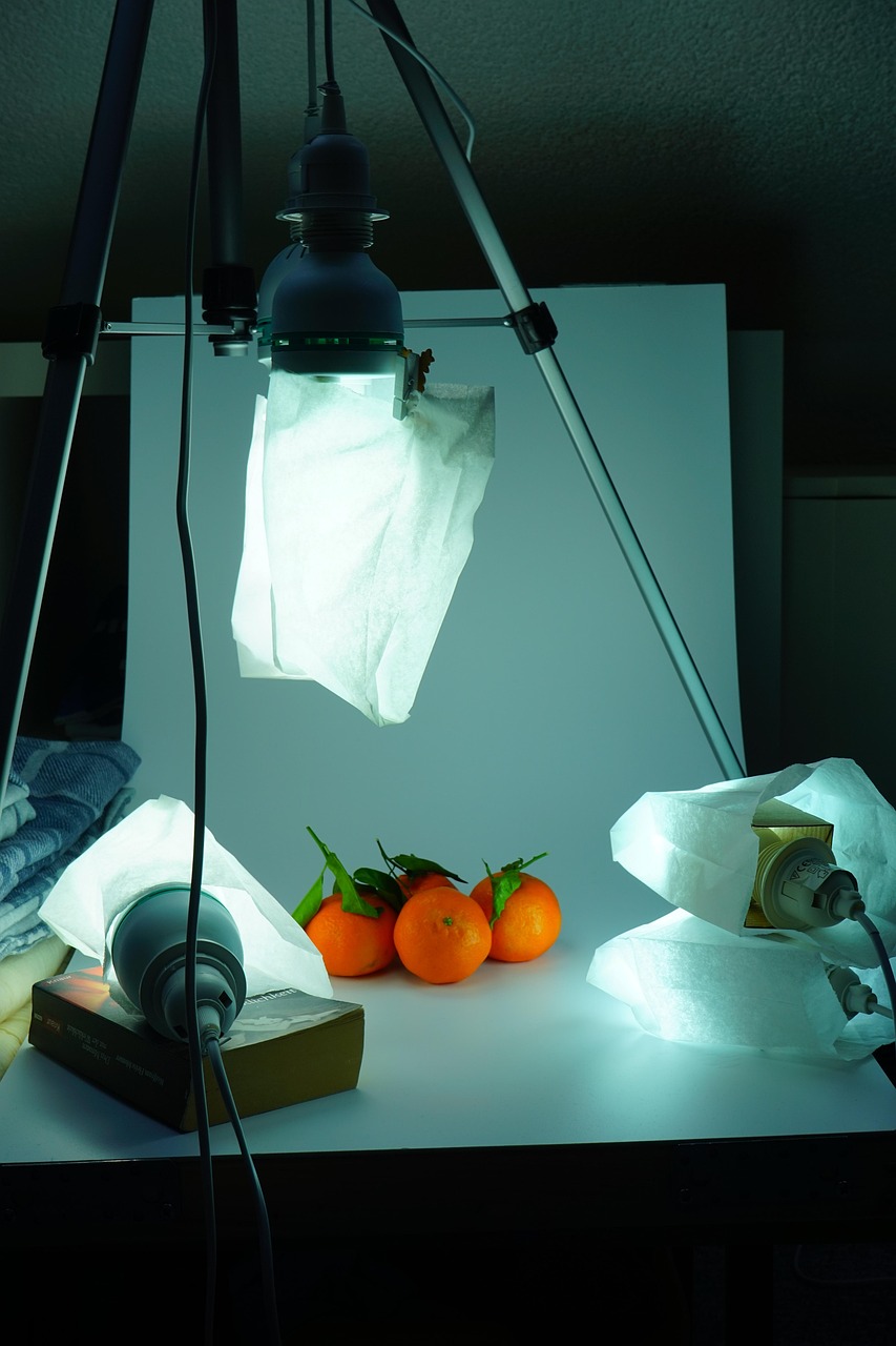cameraatic, experimental set up, phototic, object photography, photography, hollow throat, cut out, cut-out recording, experiment, lighting, lights, light, mandarins, oranges, cold light, white light