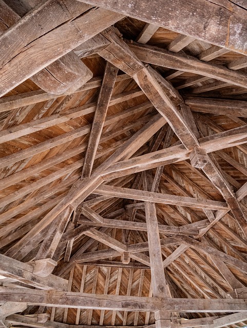 Gallery image 6