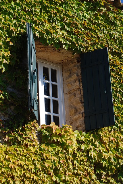 Gallery image 6