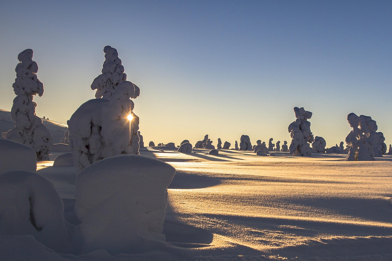 lapland, winter, snow, landscape, wintry, finland, cold, snowy, snow landscape, winter mood, nature, trees, sunshine, winter dream, snow load, frost, snow covered