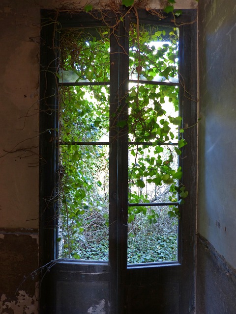Gallery image 1