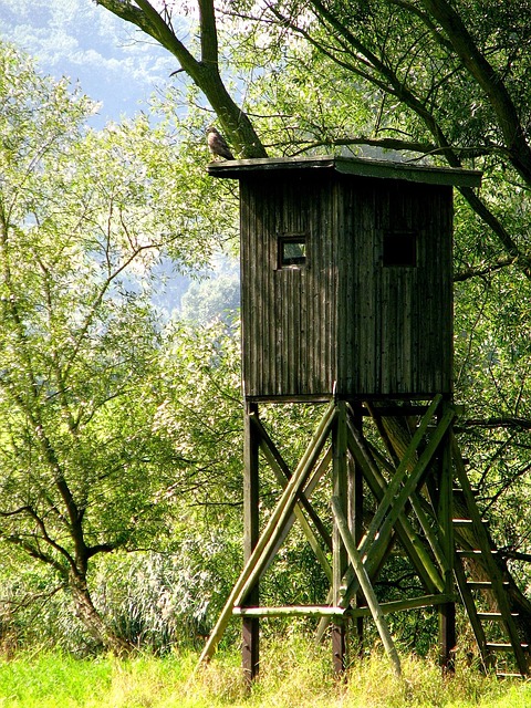 Gallery image 1