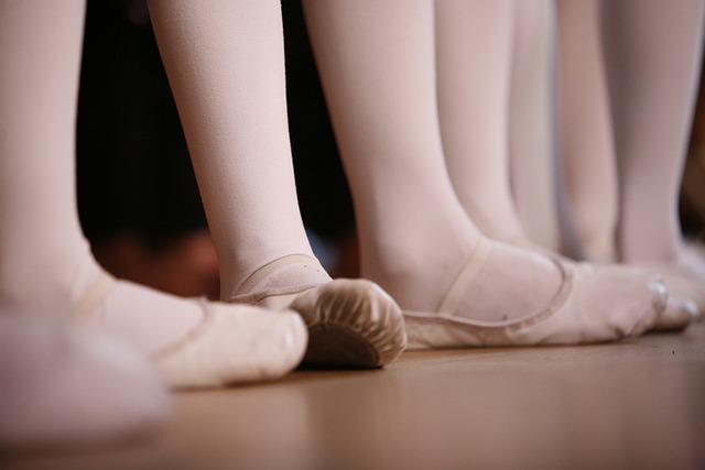 Image for Ballet Shoes