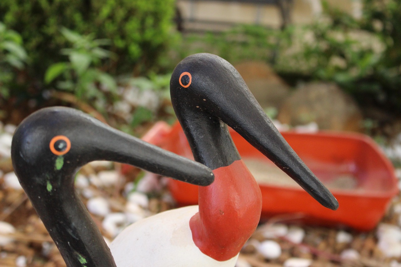 focus, garden, sowers, never give up, bird