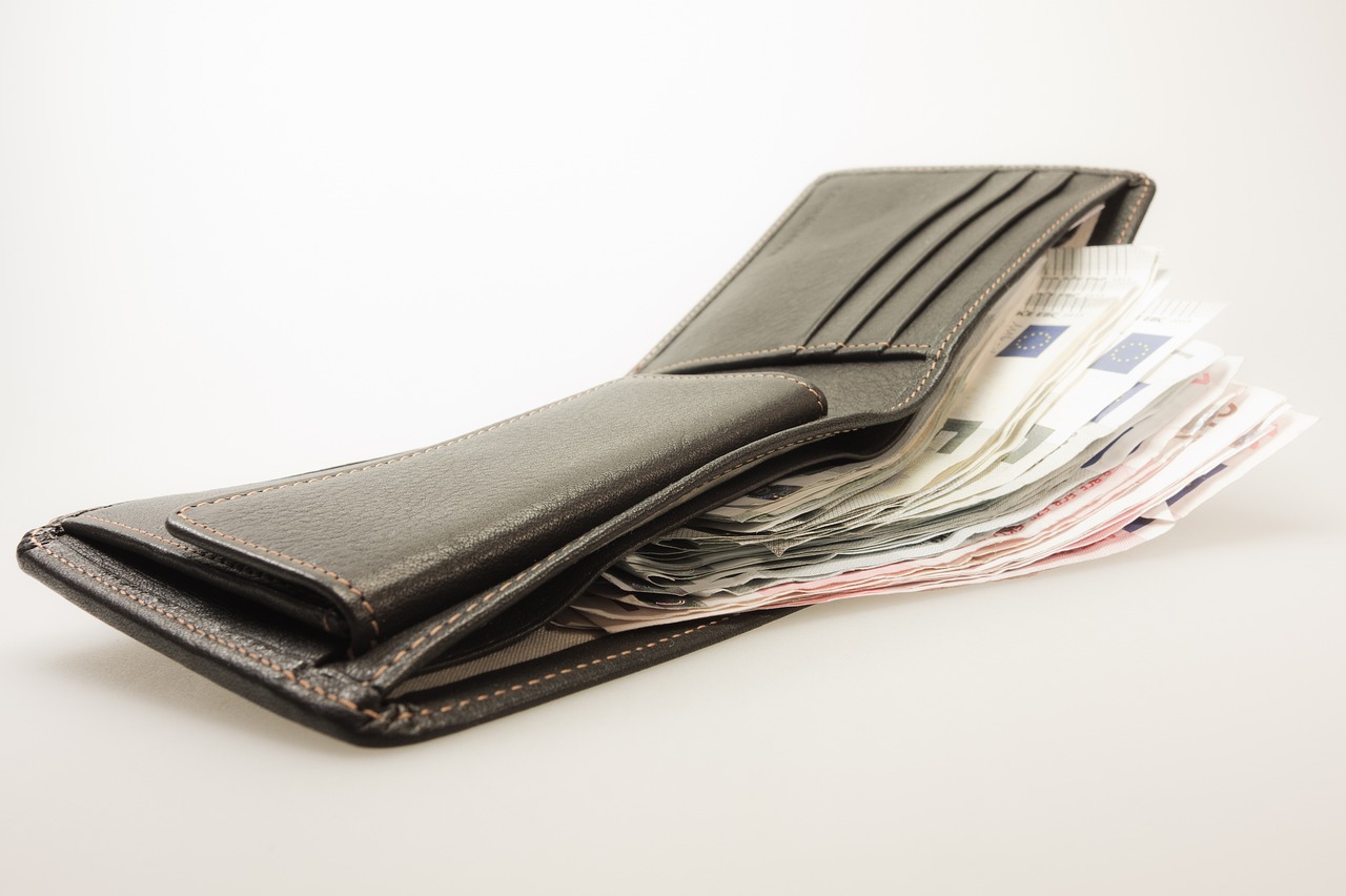 money, wallet, banknotes, euro, leather, men's wallet, man purse, leather goods, black money, pension, reserve, save up, payout