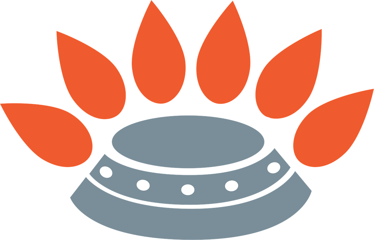 stove, burner, oven, hotplate, gas, appliance, heat, kitchen, cooking, cooker, hot, energy, fire, cook, equipment, propane, flame, butane