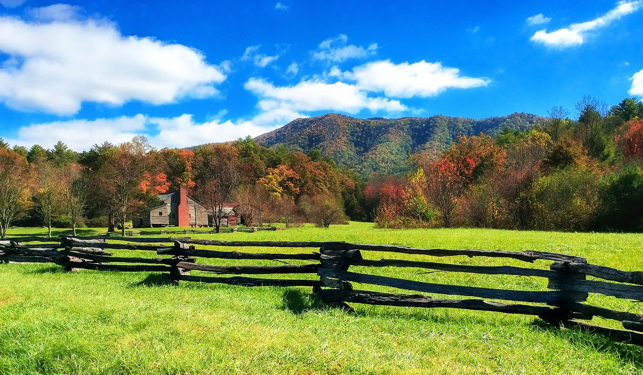 homestead, ranch, fence, split rail, house, land, country, meadow, farm