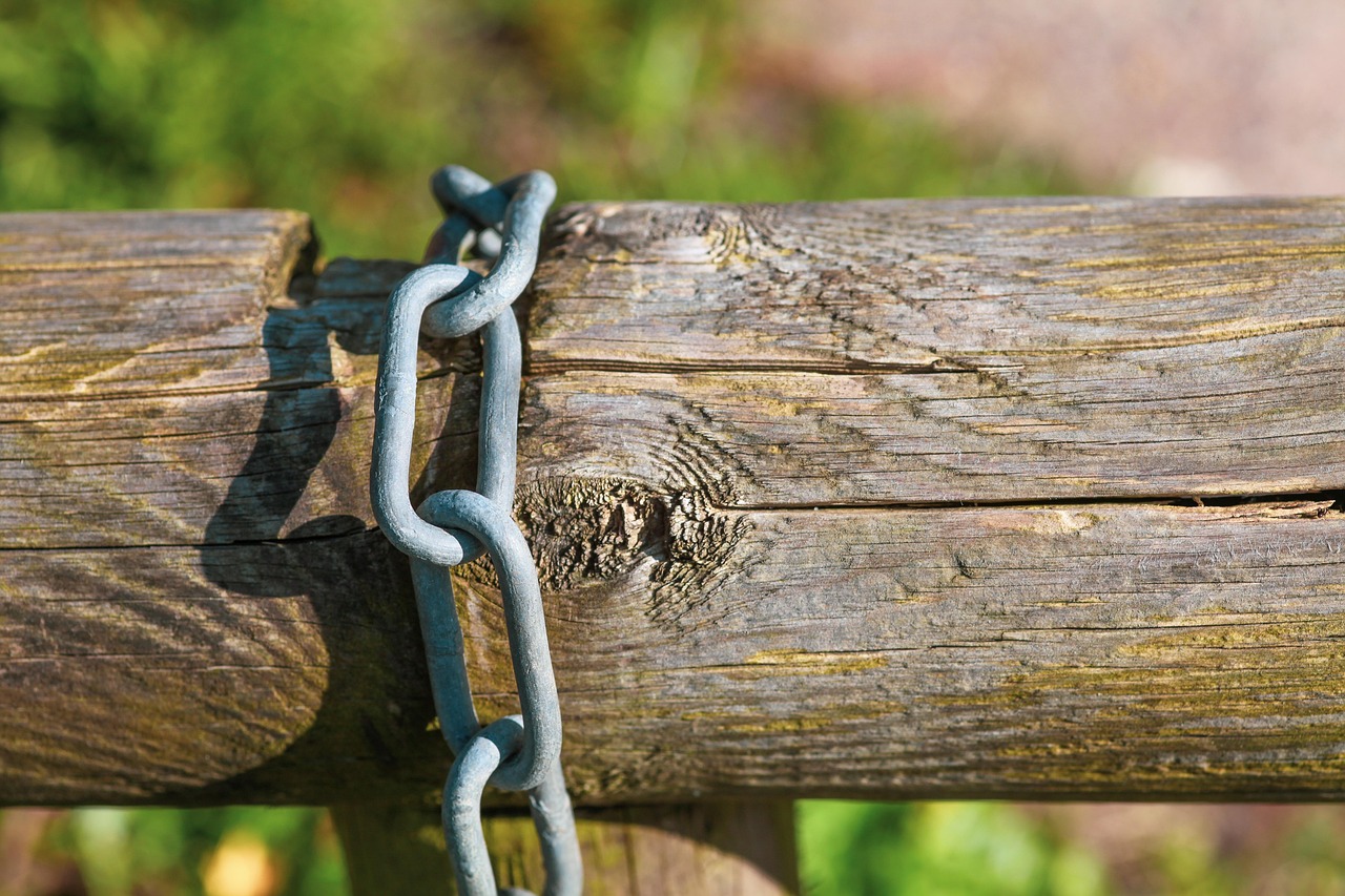 tree trunk, chain, secured, drive through, locked, detail, wood structure, barrier, forest