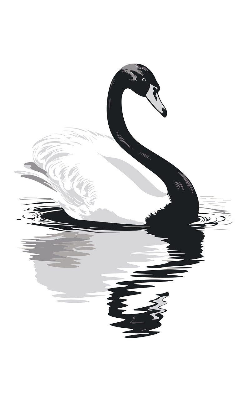 ai generated, swan, bird, animal, lake, illustation