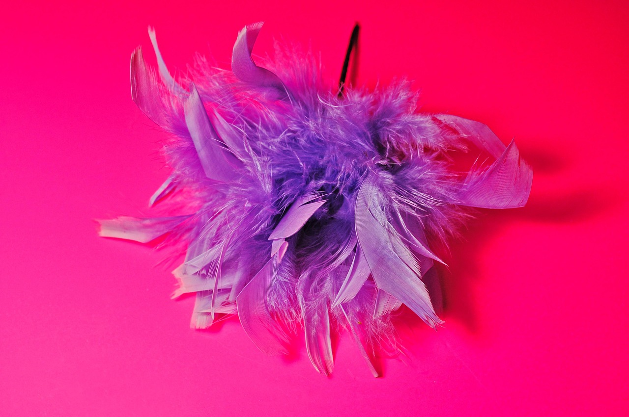 feather, feather corsage, corsage, decoration, fashion, female, elegance, style, evening dress, shoulder, pink fashion