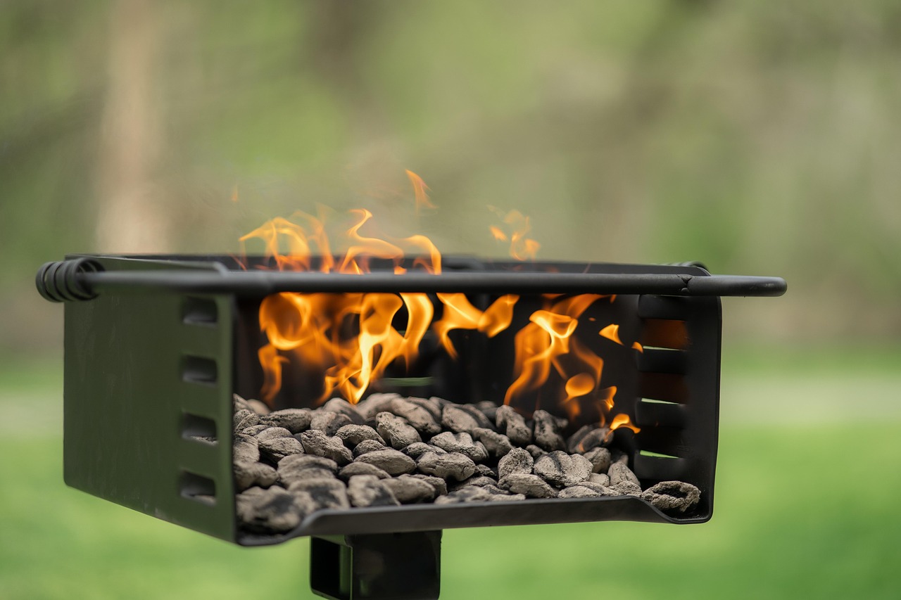 grill, flames, charcoal, park grill, bbq, cooking, food, barbeque, roast, sear, burn, hamburger, steak, burger, chicken, pork, meat, cookout, chargrill, party