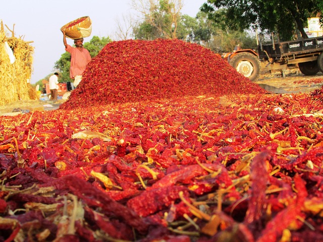 Image for The Best Chile Pepper Dishes to Try in New Mexico