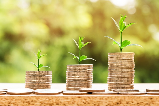 Image for Minimalism and Finances: Simplify Your Life and Boost Savings.