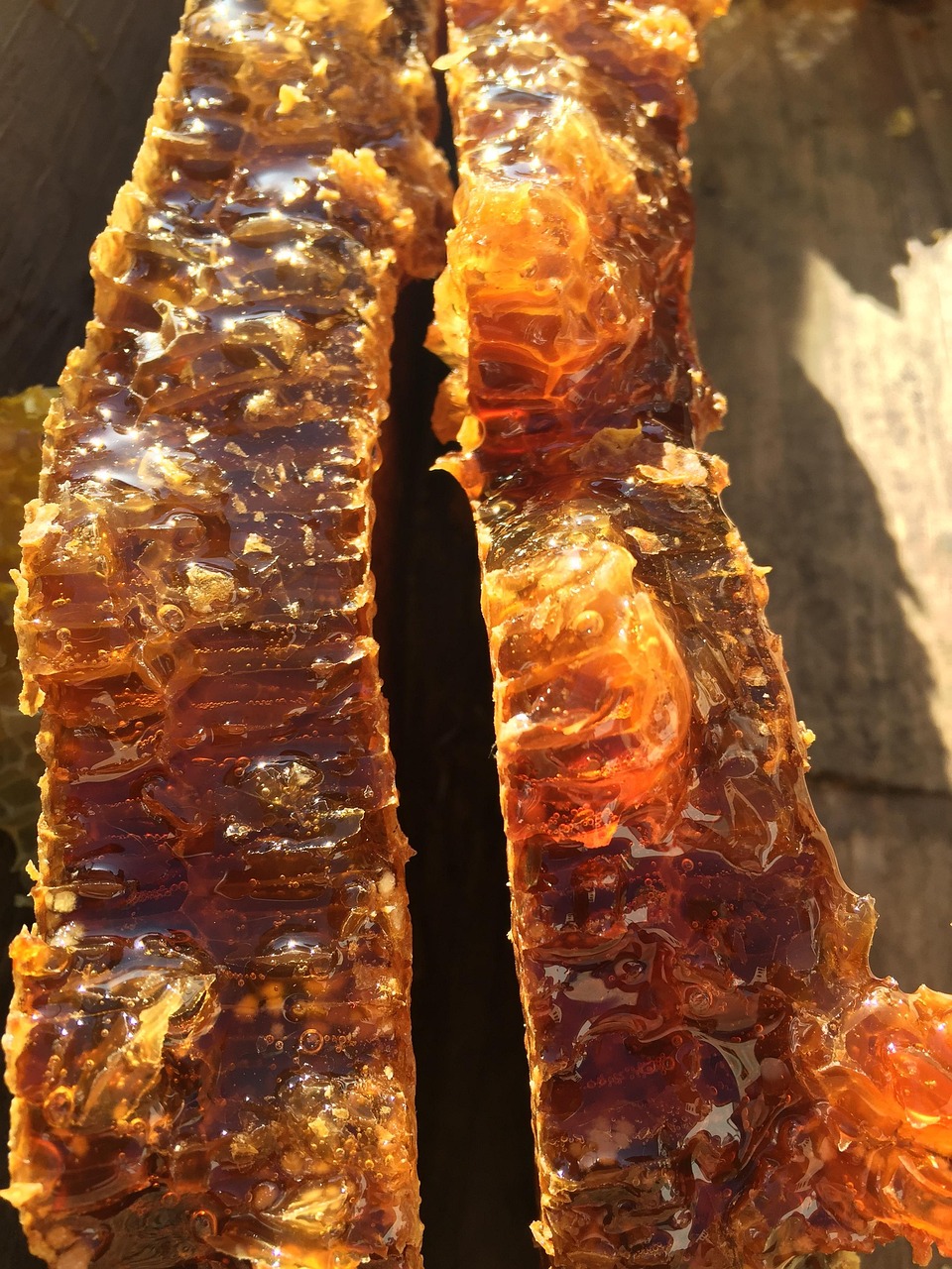 soil honey, original ecology, natural