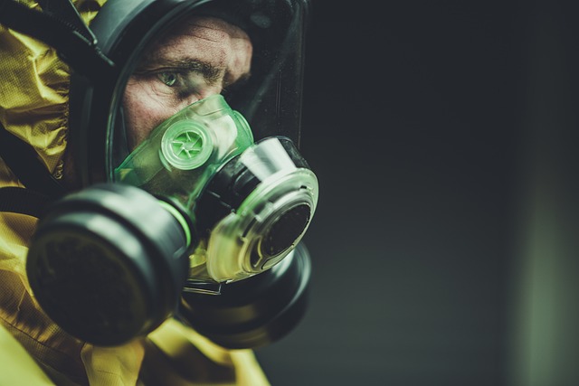 Image for Firearm Safety During Natural Disasters: Guidelines and Tips