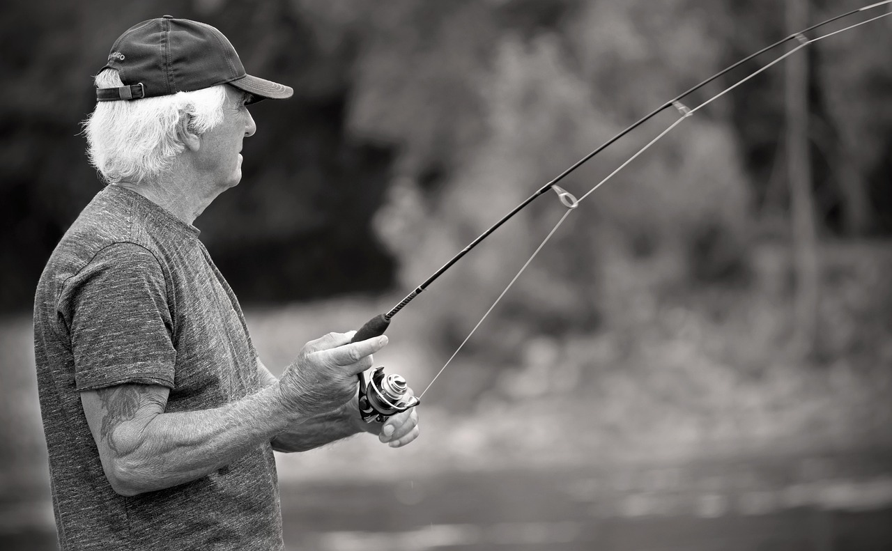 fishing, old man, retirement, fish, leisure, summer, recreation