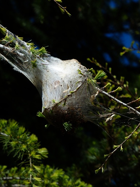 Gallery image 6