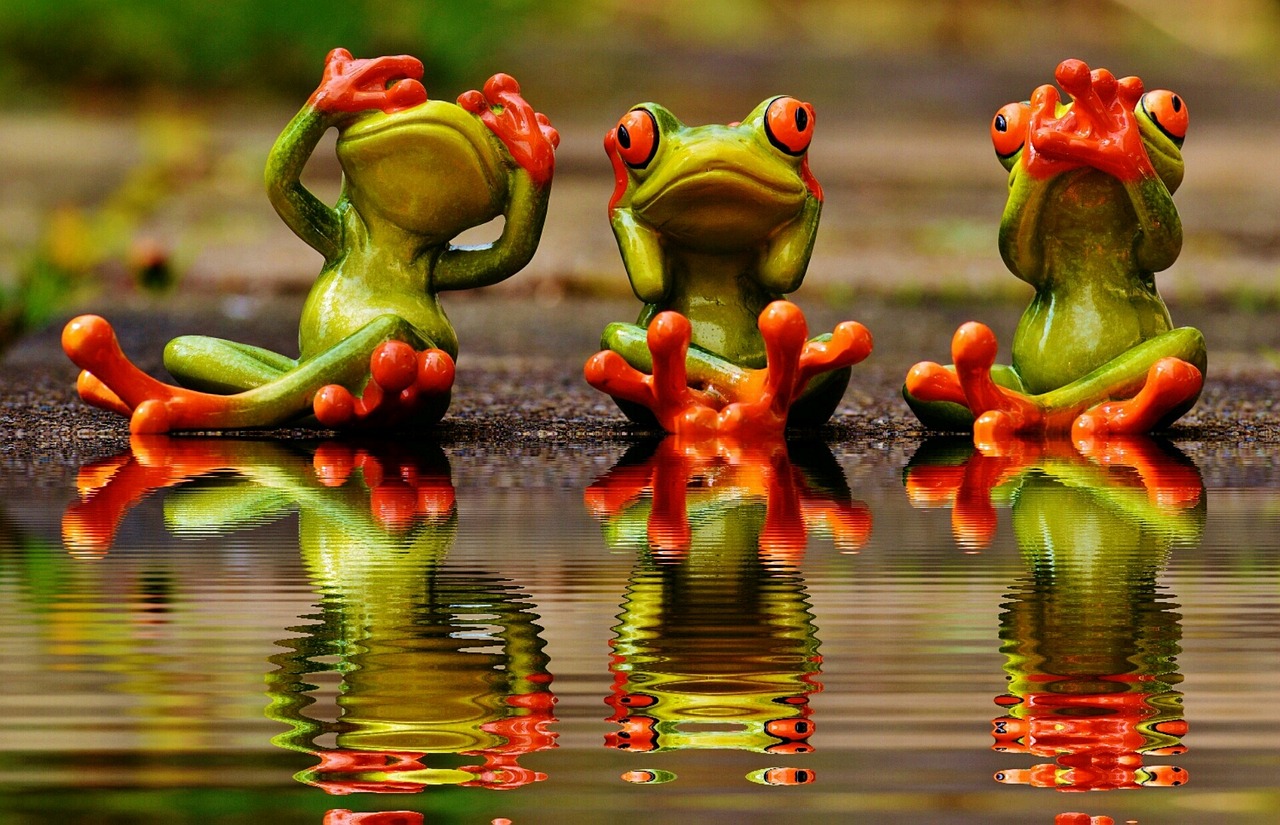 not see, not hear, do not speak, frogs, cute, fun, riverbank, water, reflection