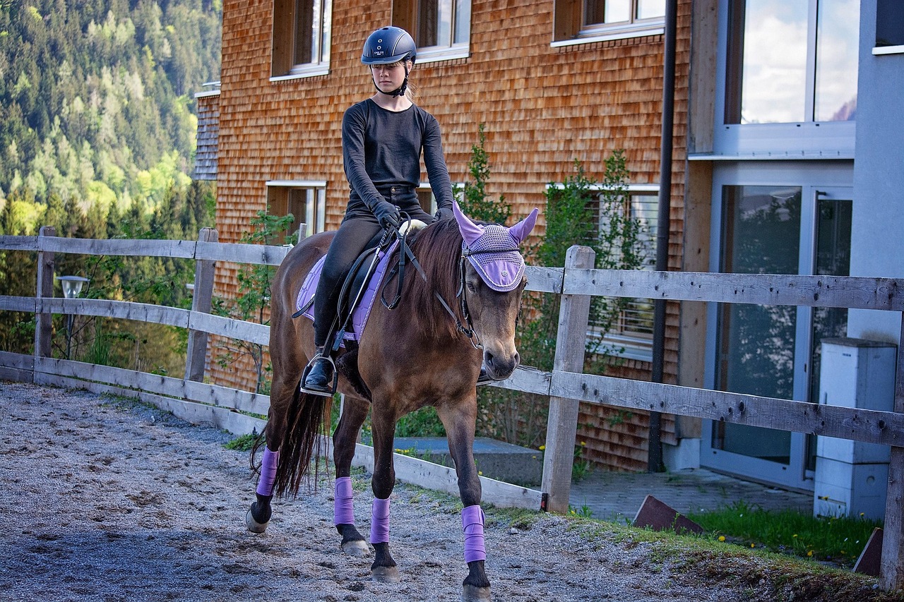horse, girl, riding lessons, pony, riding pony, equestrian, equine, animal, brown horse, pony ride, ride, stable, horsewoman, rider, horseback riding, horse riding, riding school, riding space