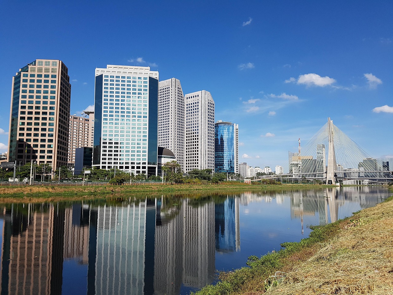 river pines, pollution, city, sewer, são paulo, buildings, metropolis, architecture, sky spider, tall building